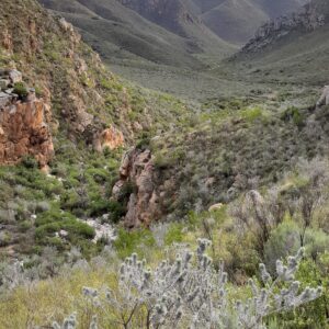 20230625_104106 - Copy