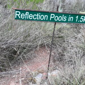 20230625_115719 - Copy