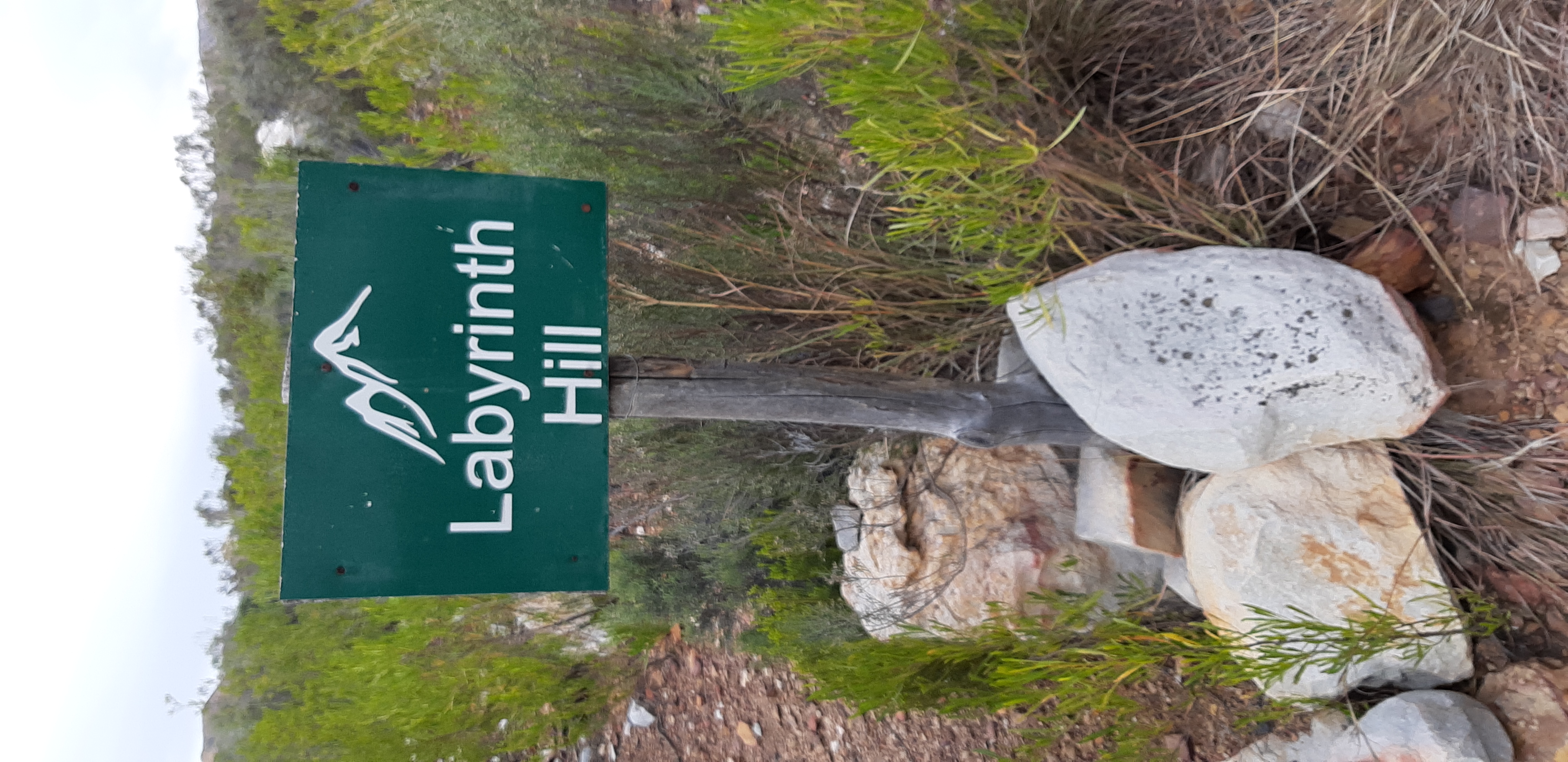 20230625_153541 - Copy