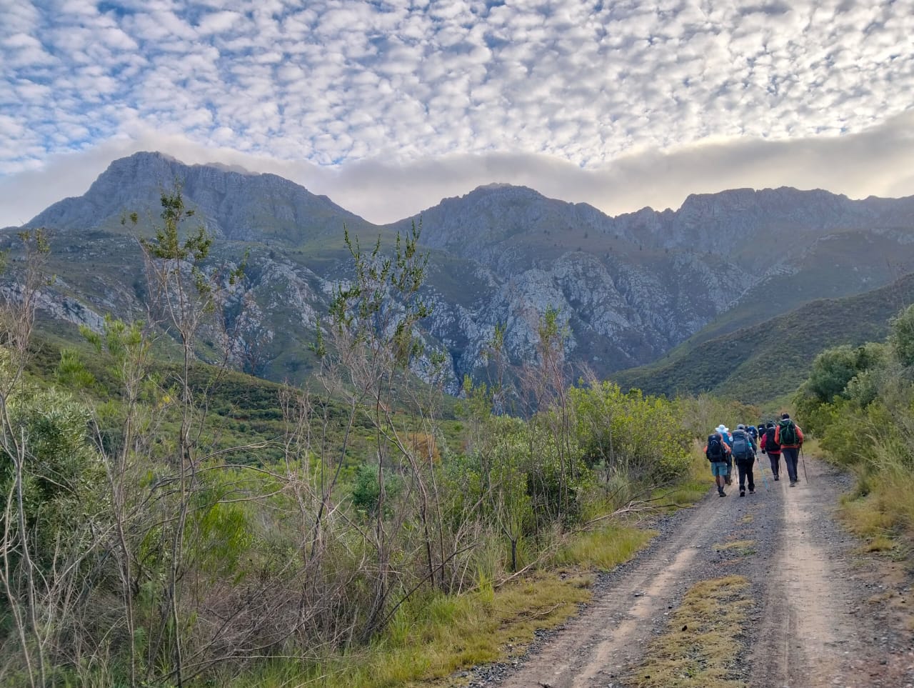 Starting the Arrangieskop Hiking Trail